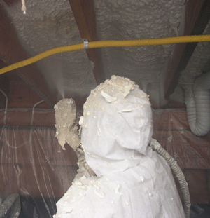 Buffalo NY crawl space insulation